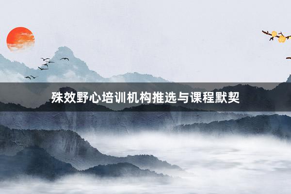 殊效野心培训机构推选与课程默契